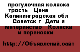 прогулочная коляска трость › Цена ­ 3 500 - Калининградская обл., Советск г. Дети и материнство » Коляски и переноски   